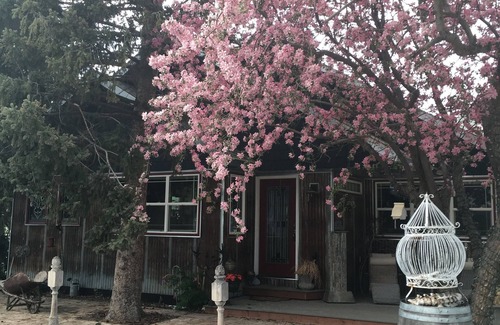 Bozeman House | Nestled between Big Sky Ski Resort & Bridger Bowl In The Heart of the Rockies