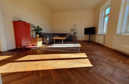 Steyr Apartment | Neu renovierte Altbauwohnung im Herzen von Steyr 100qm