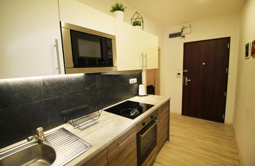 Stare Mesto Apartment | New Apartment Dlouhá