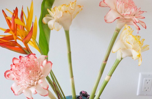 Coconut Grove House | New Beautiful Kailua House, near the beach and Kailua town