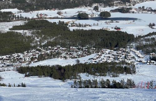 Kviteseid House | New cabin Vrådal - sunny - fantastic hiking areas