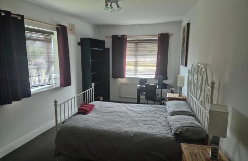 Dublin House | New Comfortable room beside tramline
