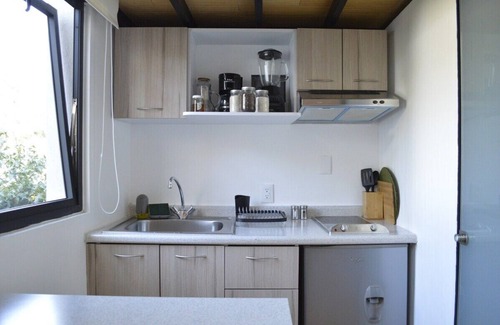 La Concepcion Apartment | NEW Cute CoyoacánLoft with Rooftop Lounge Smart TV