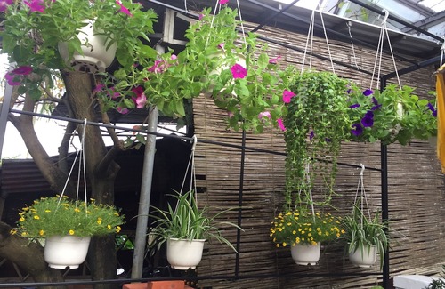 Cam Kim Hotel | New Destination Hoi An Homestay