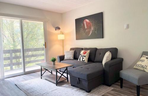 Canton Apartment | New Hall Of Fame Apt! - 7 Min Walking Distance