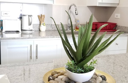 New Kingston Apartment | New Kingston Guest Apt at Kingsway
