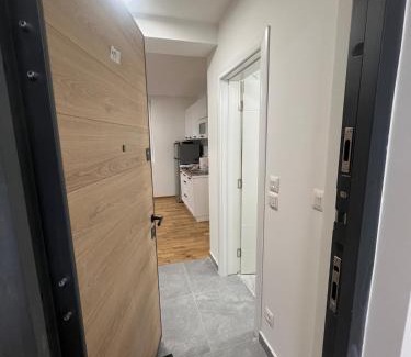 Raska Apartment | New resort Treska, Kopaonik