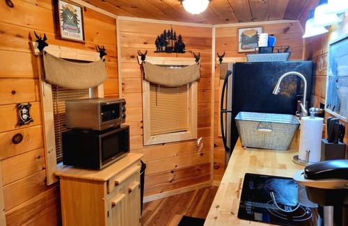 Flag Pond Apartment | New Smoky Mountain Tiny Cabin on Bold Stream with Hot Tub.