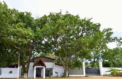 Welikanda Resort | New Thal Arana