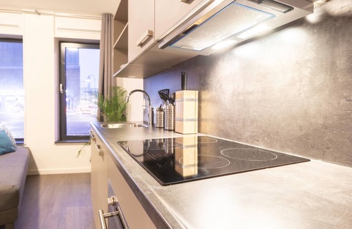 Delft Apartment | Newly build Loft city center Delft 02B