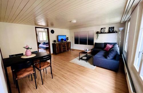 St. Gallen Apartment | Newly furnished beautiful old building apartment in the center with Apple TV
