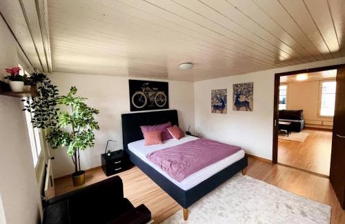 St. Gallen Apartment | Newly furnished beautiful old building apartment in the center with Apple TV