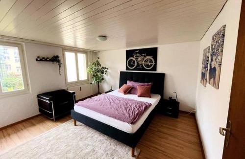 St. Gallen Apartment | Newly furnished beautiful old building apartment in the center with Apple TV