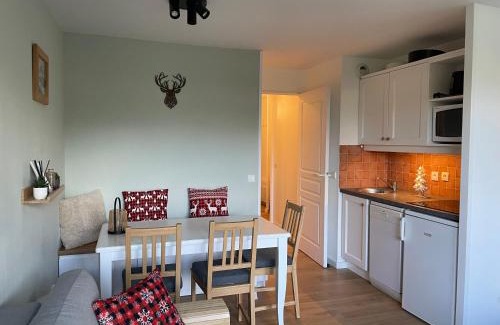 Avoriaz Apartment | Newly renovated flat on the slopes