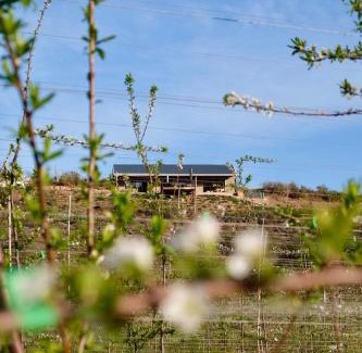 Uniondale House | Nicara Luxury Ecocabin Honeypunch