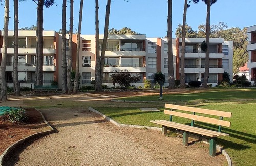 Algarrobo Apartment | Nice and comfortable apartment in Algarrobo, Chile