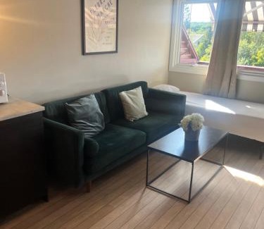 Ski Apartment | Nice and space efficient apartment