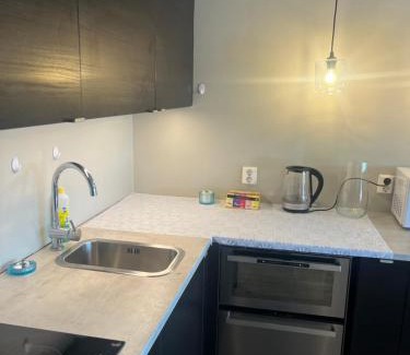 Ski Apartment | Nice and space efficient apartment