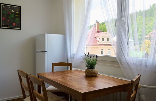 Josefov Dul Apartment | Nice apartment for 6 people with WIFI, TV and balcony
