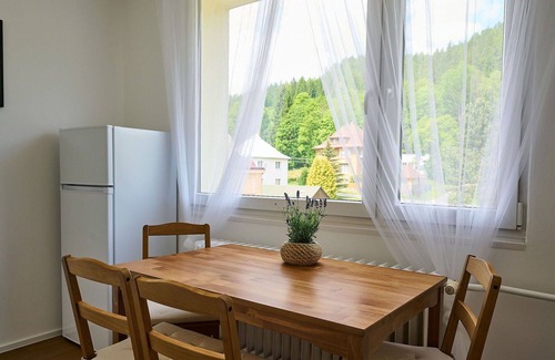 Josefov Dul Apartment | Nice apartment for 6 people with WIFI, TV and balcony