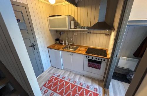 Gol Apartment | Nice apartment at Golsfjellet