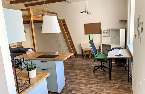 Holesovice Apartment | Nice apartment for 2 people with WIFI and pets allowed