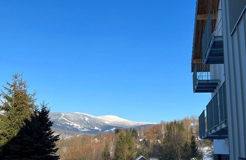 Rokytnice nad Jizerou Apartment | Nice apartment for 3 guests with pool, WIFI, TV and terrace