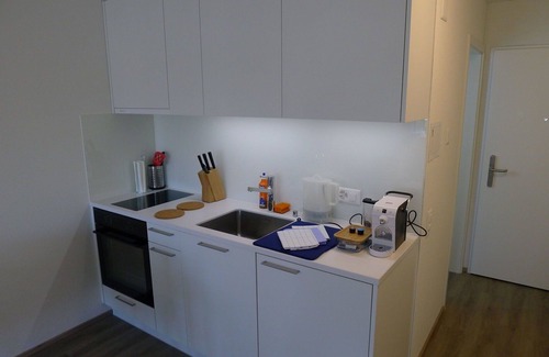 Lucerne Apartment | Nice apartment for 4 guests with WIFI, TV and balcony