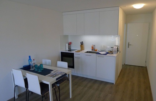Lucerne Apartment | Nice apartment for 4 guests with WIFI, TV and balcony