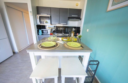 Montpellier Apartment | Nice apartment for 3 guests with WIFI, A/C, pool, TV, balcony and pets allowed