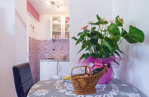 Borak Apartment | Nice studio in Omis with house sea view