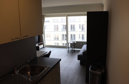 Sint-Idesbald Apartment | Nice studio with lateral sea view right at the beach