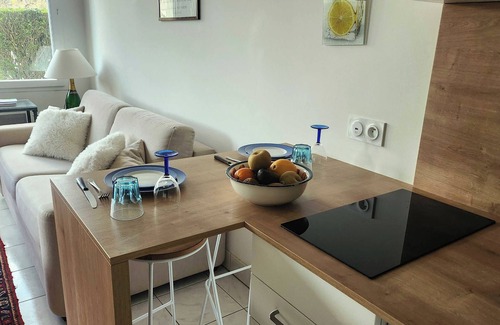 Tourgeville Apartment | Nice T2 with garden and terrace in Tourgéville