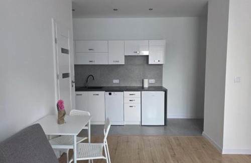Krasnik Apartment | Niepodległości Park View Studio by BookingHost