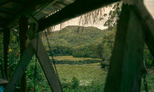 Kodaikanal House | Nirvana 'By the lake'