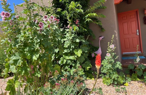 Nob Hill House | Nob Hill’s Casa Flamingo: King & Queen beds, Safe, Prime Location, Large Yard.