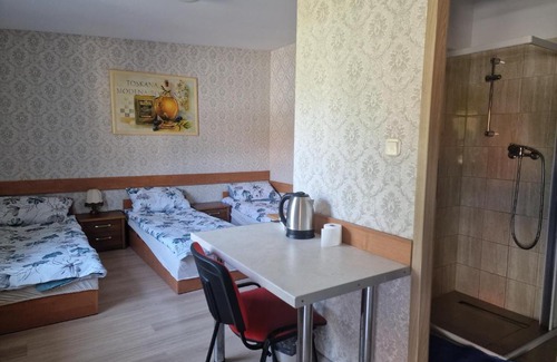 Walbrzych House | Noclegi Ali