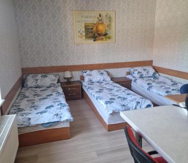 Walbrzych House | Noclegi Ali