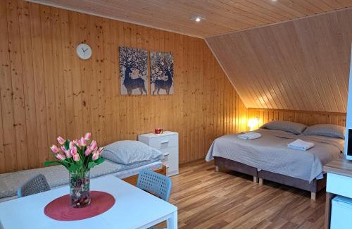 Powidz Apartment | Noclegi Pod Modrzewiem