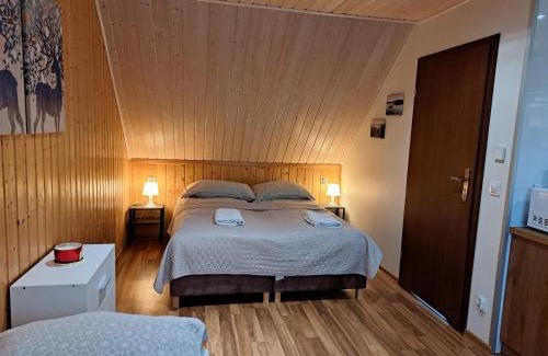 Powidz Apartment | Noclegi Pod Modrzewiem