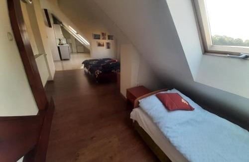 Zbiczno House | Noclegi Zdzisław Sieradzki