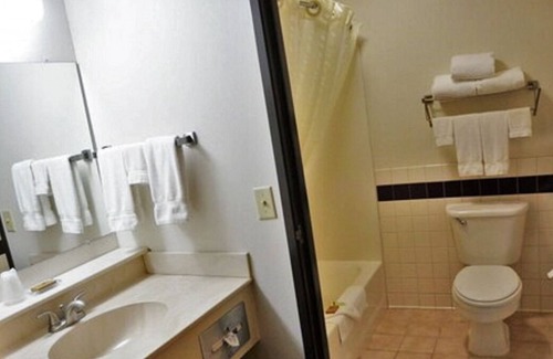 Thorp Hotel | Non-smoking Single King Executive at FairBridge Inn & Suites Thorp