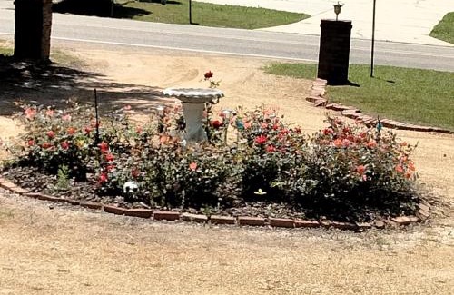 Ruston Bed & Breakfast | Nonies