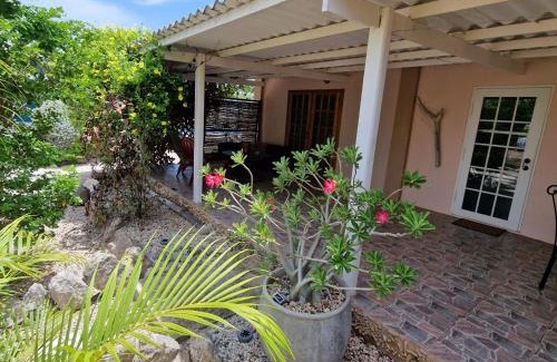 Sabana Westpunt Apartment | Nos Soño Stay and Dive