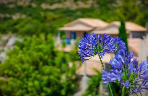 Kardamyli Apartment | Notos Hotel Kardamili