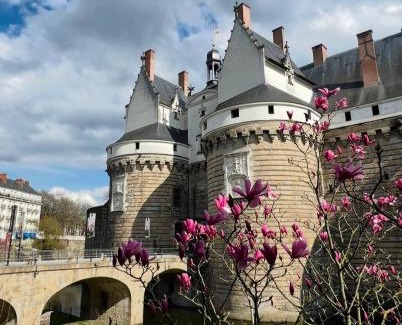 Chateau Apartment | NOZA Appartement 65m2, 2 chambres - RDC, Parking gratuit, Nantes agglo Rezé