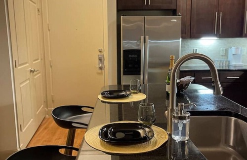 Astrodome Apartment | NRG suite with free parking