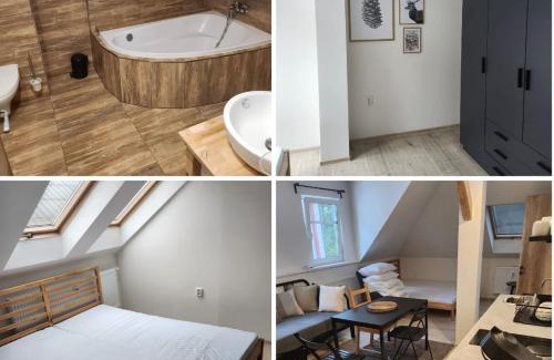 Rokytnice nad Jizerou Apartment | Number 5 Vlevo Dole