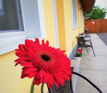 Mako Bed & Breakfast | Oázis Panzió