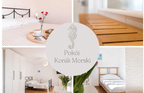 Grzybowo Apartment | Ośrodek Wypoczynkowy SWALLOW